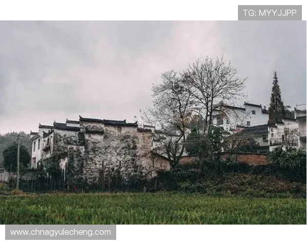 AG启航厅娱乐平台最新玩法介绍助你轻松掌握游戏技巧提升胜率 AG启航厅娱乐平台最新玩法介绍助你轻松掌握游戏技巧提升胜率